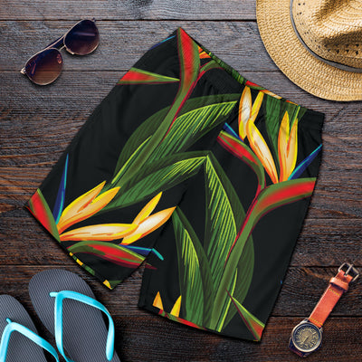 Bird Of Paradise Pattern Print Design BOP012 Mens Shorts