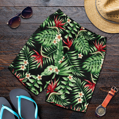 Bird Of Paradise Pattern Print Design BOP05 Mens Shorts