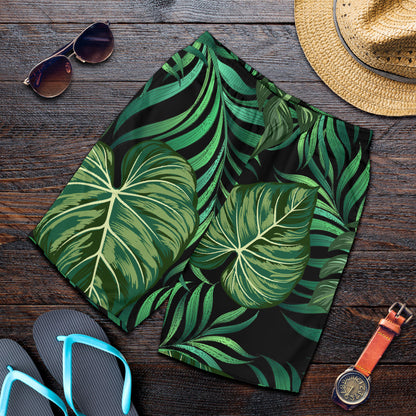 Green Fresh Tropical Palm Leaves Mens Shorts