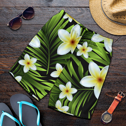 White Plumeria Pattern Print Design PM06 Mens Shorts