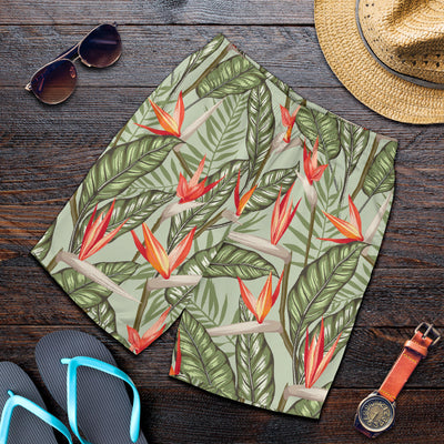 Bird Of Paradise Pattern Print Design BOP08 Mens Shorts