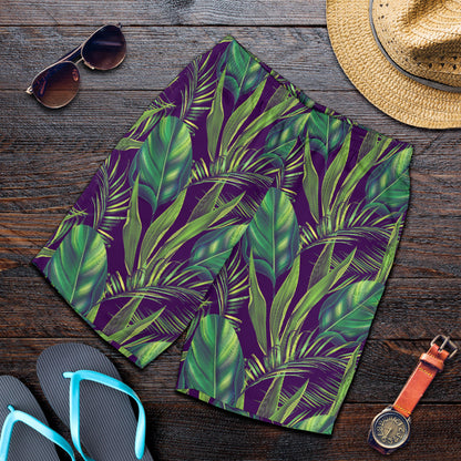 Palm Leaves Pattern Print Design PL03 Mens Shorts