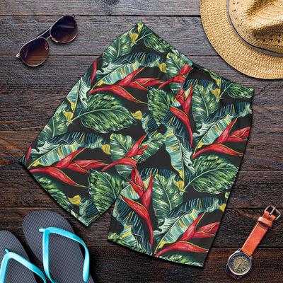 Bird Of Paradise Pattern Print Design BOP06 Mens Shorts