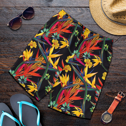 Bird Of Paradise Pattern Print Design BOP016 Mens Shorts