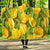 Tulip Yellow Pattern Print Design TP010 Hooded Blanket-JORJUNE.COM